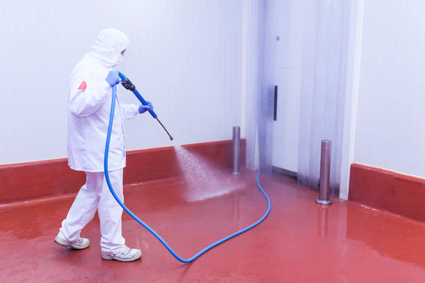 Best House Exterior Washing  in Pu, HI